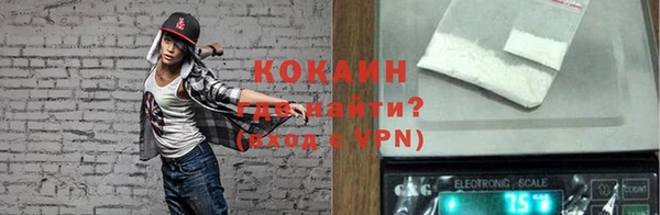 крисы Баксан