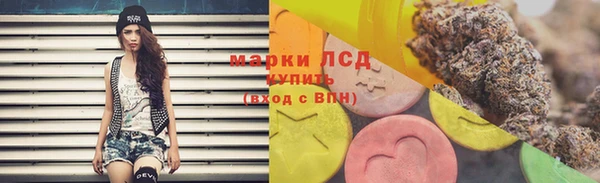 крисы Баксан
