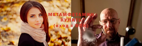 крисы Баксан