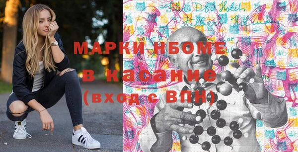 крисы Баксан