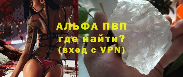 крисы Баксан