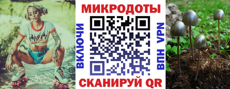 Псилоцибиновые грибы Magic Shrooms  купить наркотики цена  hydra ONION  Лермонтов 